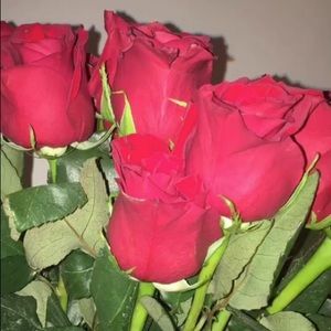 Meet your Posher, Sophie